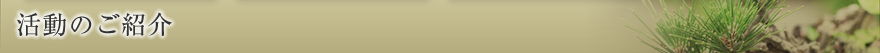 活動のご紹介